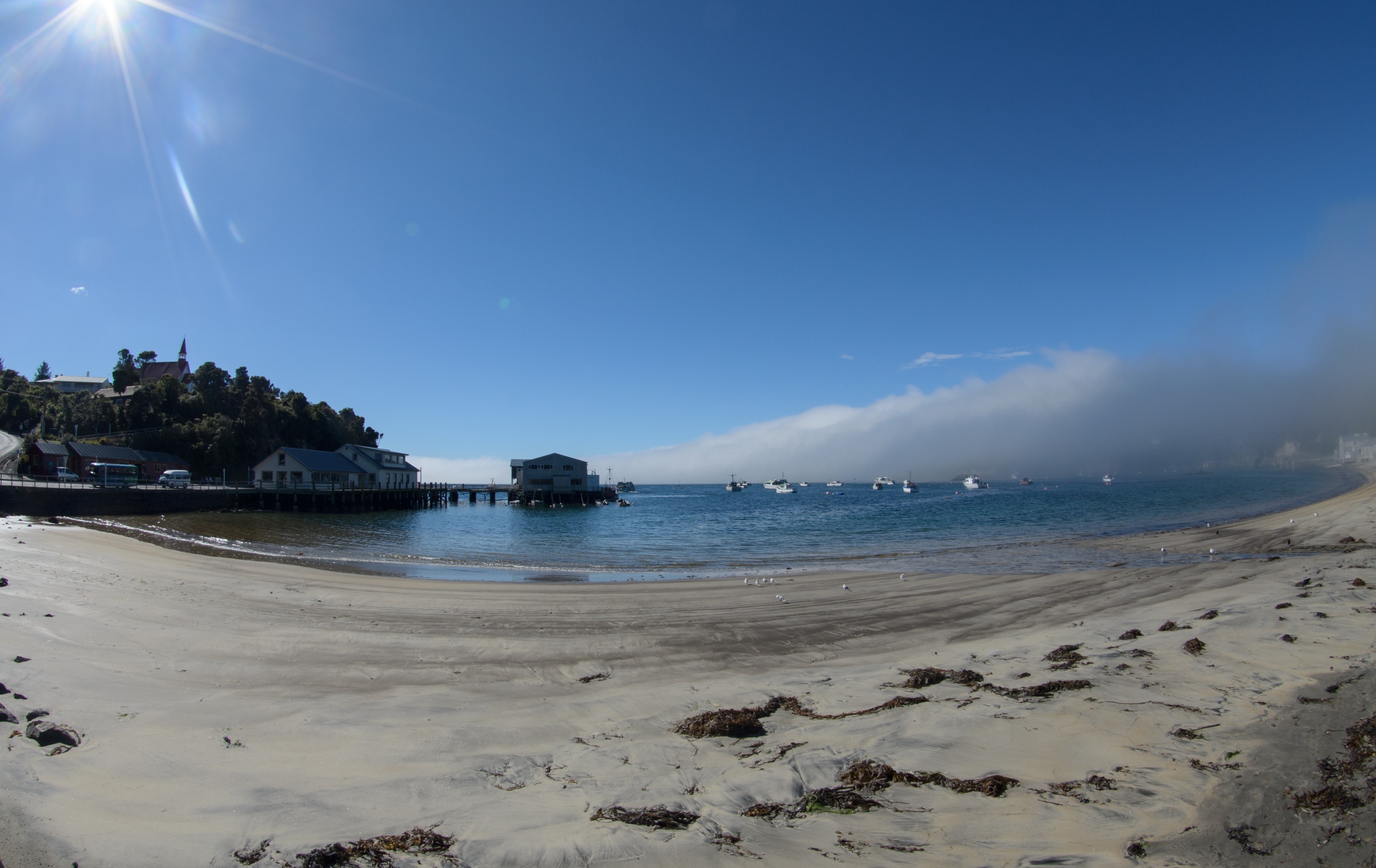 DSC_2648 – Adventure, Crispin, Island, March 2017, National Park, New, New Zealand, Rakiura, South, Stewart, Zealand
